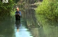 4-Elementenlehre Teil 3 – Das Wasser