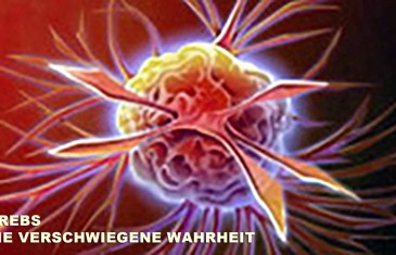 Krebs – die verschwiegene Wahrheit