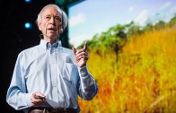 Allan Savory: How to green the world’s deserts and reverse climate change