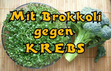 Brokkoli und Brokkolisprossen gegen Krebs?