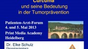 Curcuma und seine Bedeutung in der Tumorprävention