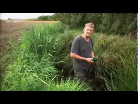 Das tägliche Gift – Risiko Pestizide
