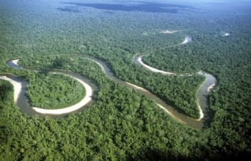 Der Amazonas – Doku