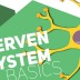 Grundbegriffe des Nervensystems