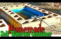 Homemade Self Watering Container Gardening Construction using a Rain Barrel