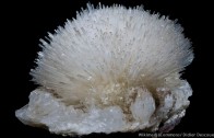 Mineralien – der geheime Schlüssel zu echter Spiritualität, wirklichem Leben und Gesundheit