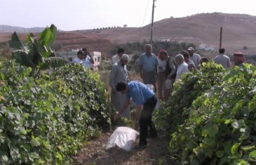 Permaculture Greening the Desert