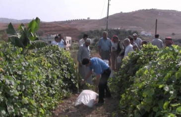 Permaculture Greening the Desert