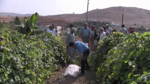 Permaculture Greening the Desert