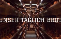 Erlebnis Erde Mythos Amazonas – Teil 2 – Triumph des Lebens