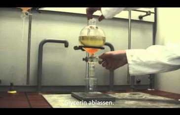 Anleitung zur Herstellung von Biodiesel