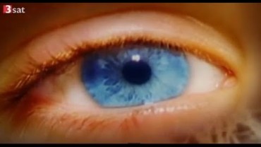 Psychosomatik – Über Körper und Seele