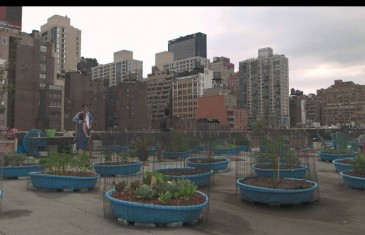Urban Farming – Gemüse aus der Stadt – Trailer